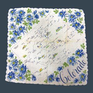 Vintage Colorado Souvenir Landmarks State Handkerchief Blue Floral Design READ